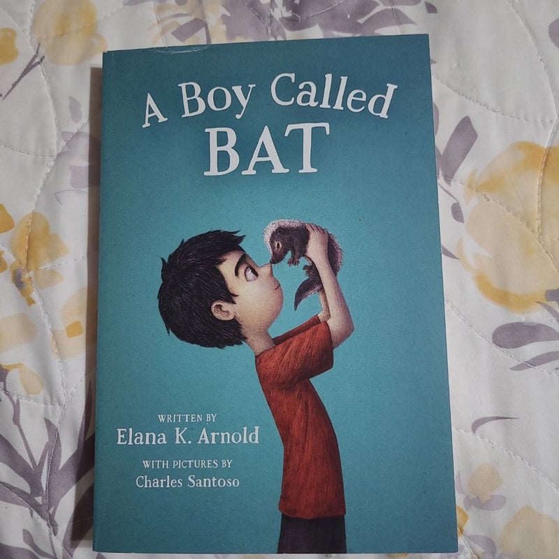 A Boy Called Bat