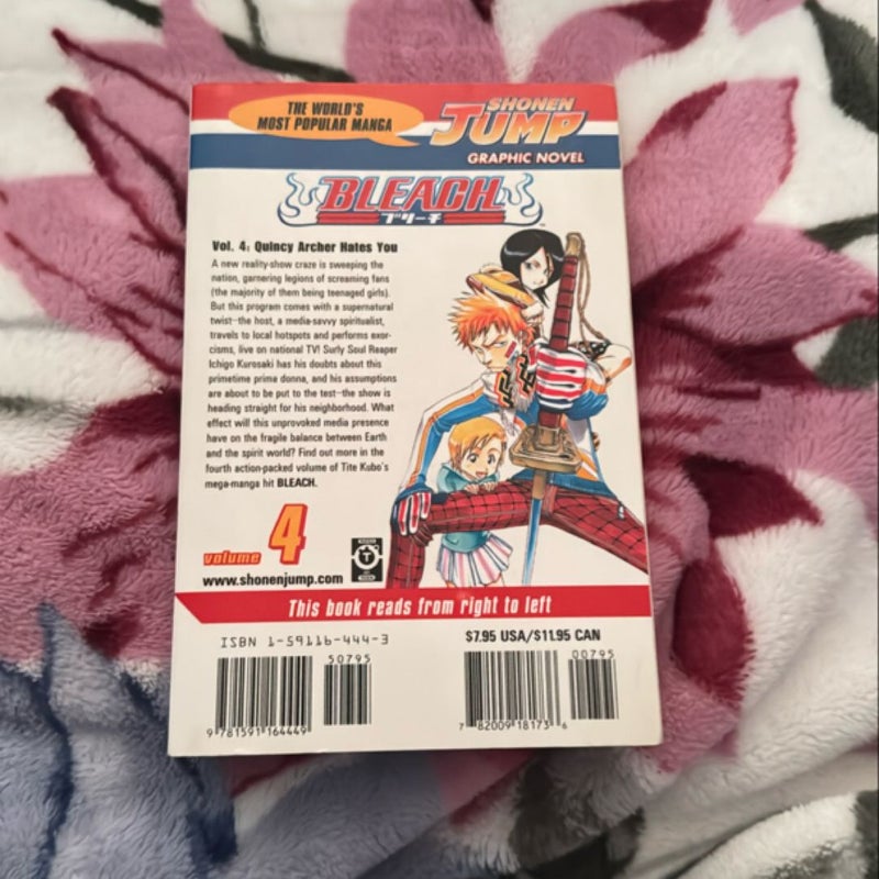 Bleach, Vol. 4