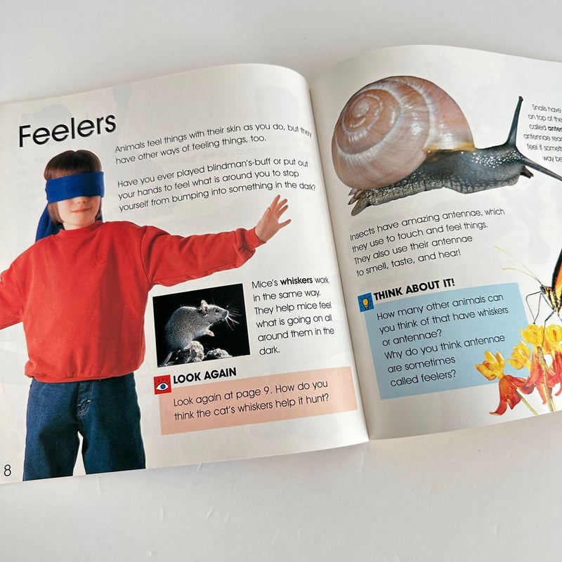It’s Science: The Five Senses