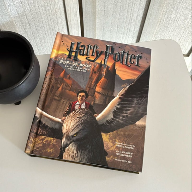 Harry Potter: a Pop-Up Book