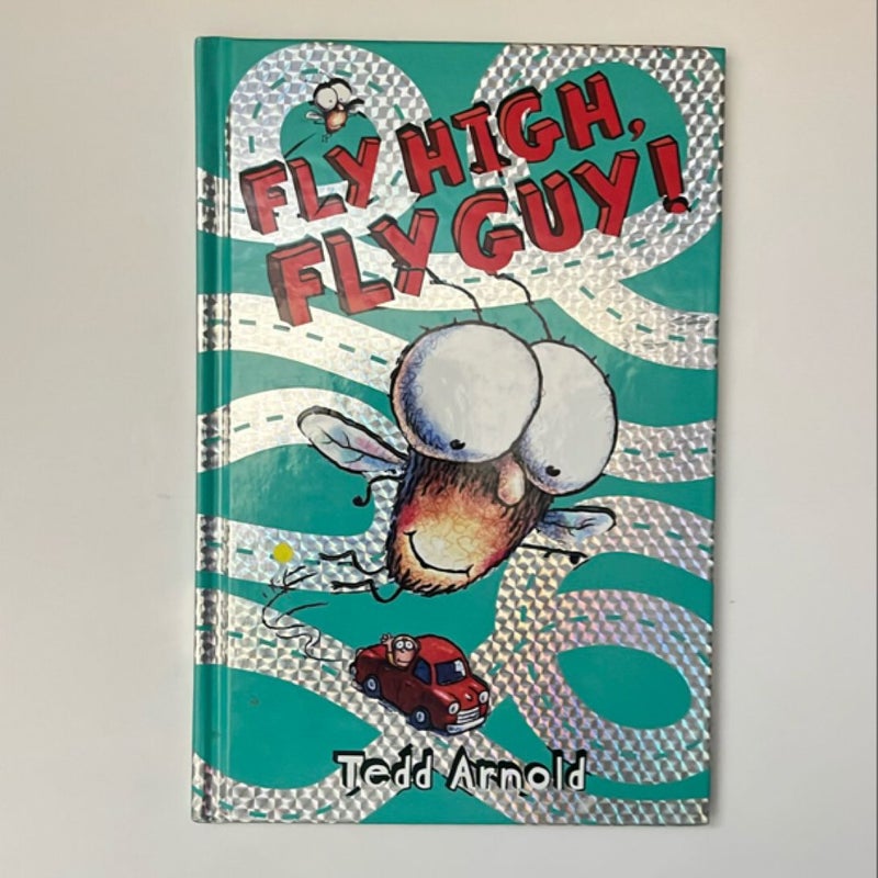 Fly Guy Book Bundle