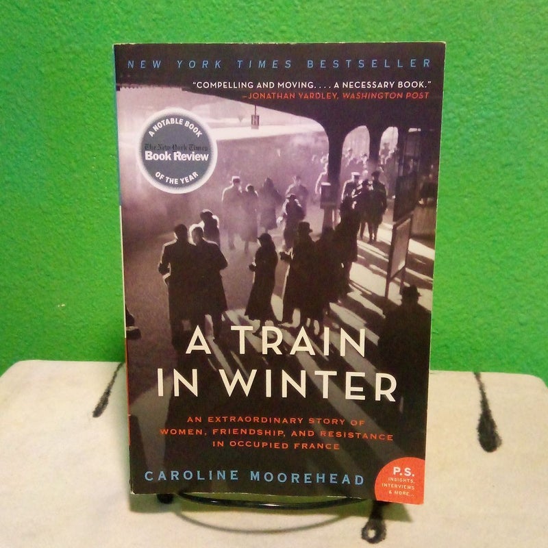 A Train in Winter