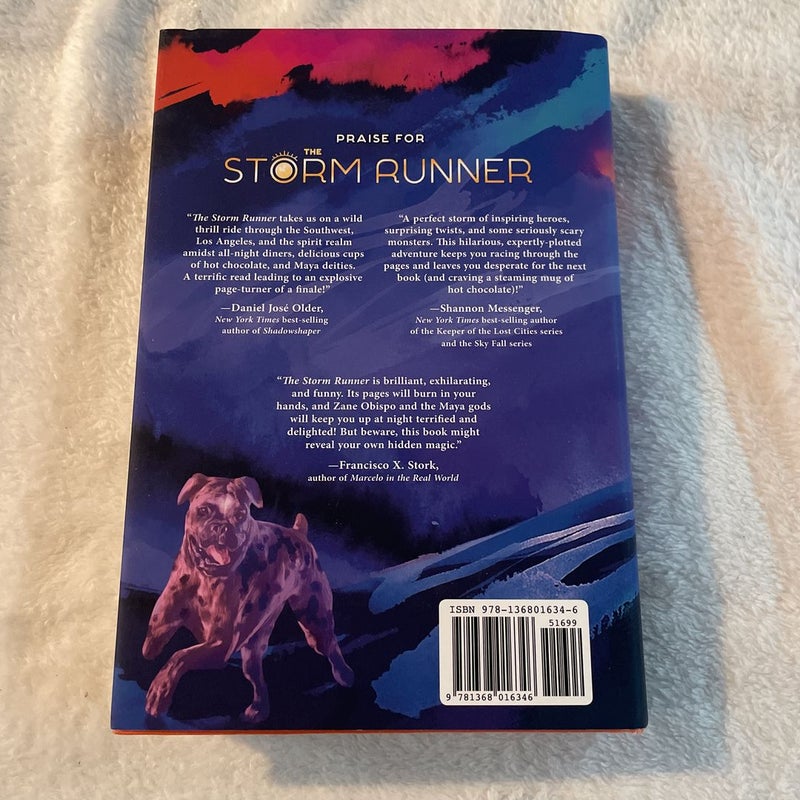 The Storm Runner (a Storm Runner Novel, Book 1)