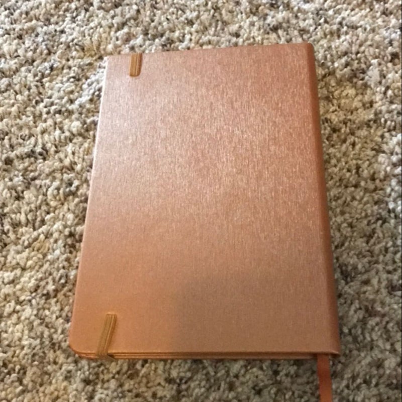 Fairyloot Notebook inspired by the legend of the Elixir of Life