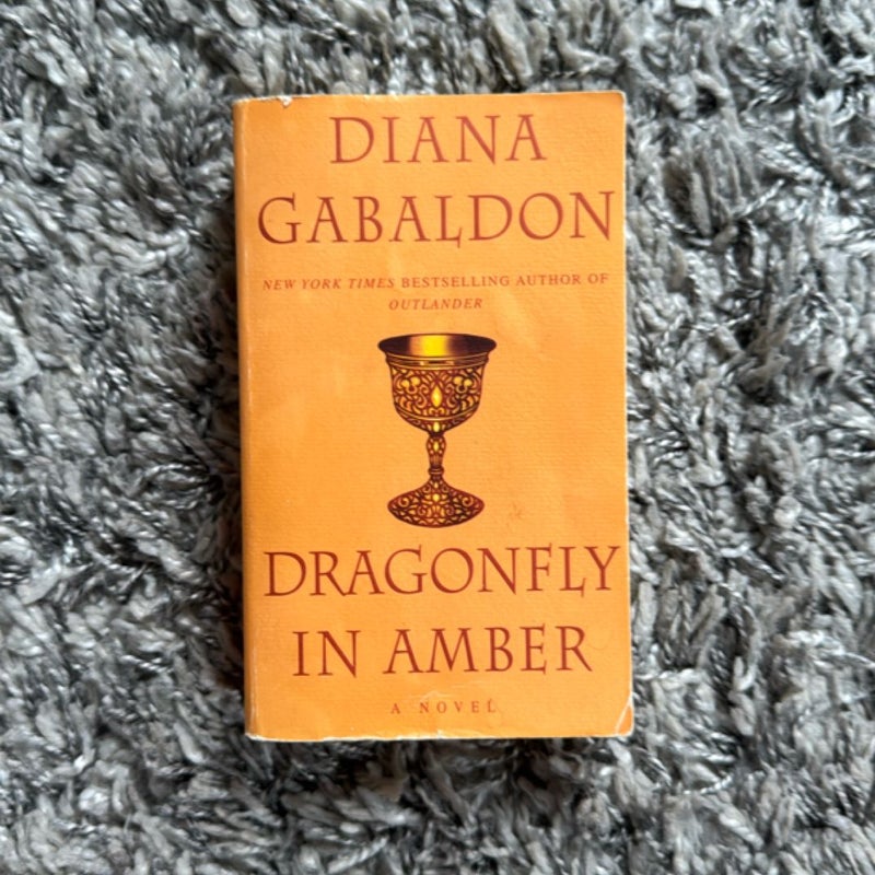 Dragonfly in Amber