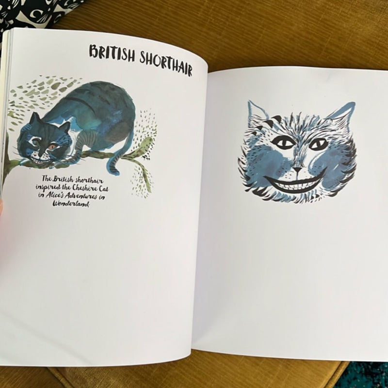 Color a Cat
