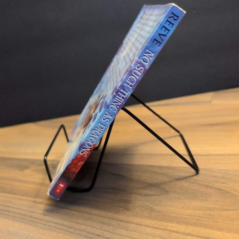 No Such Thing As Dragons