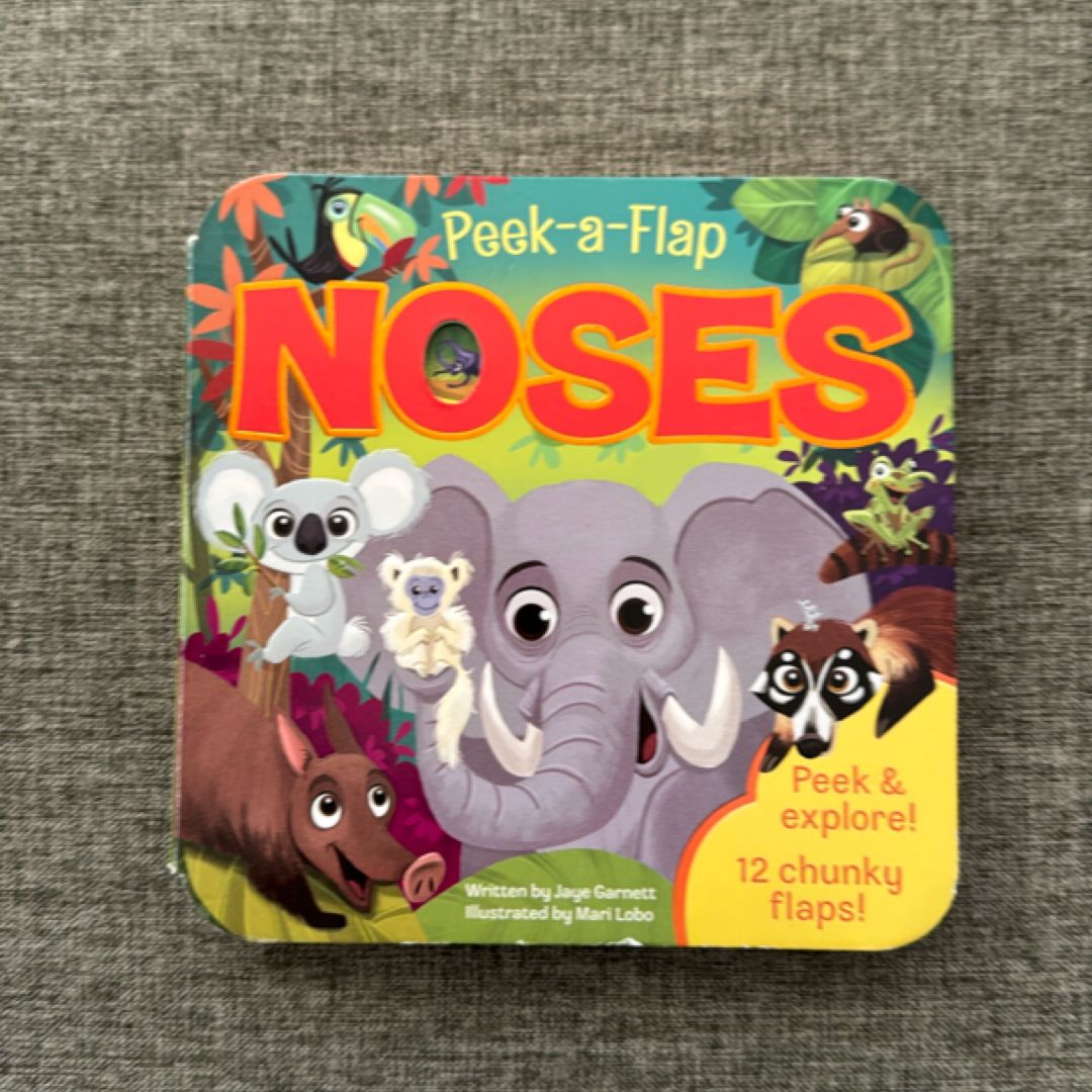Noses (board book)