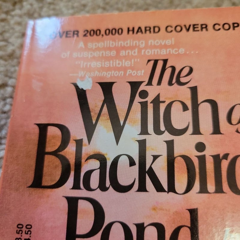 The Witch of Blackbird Pond