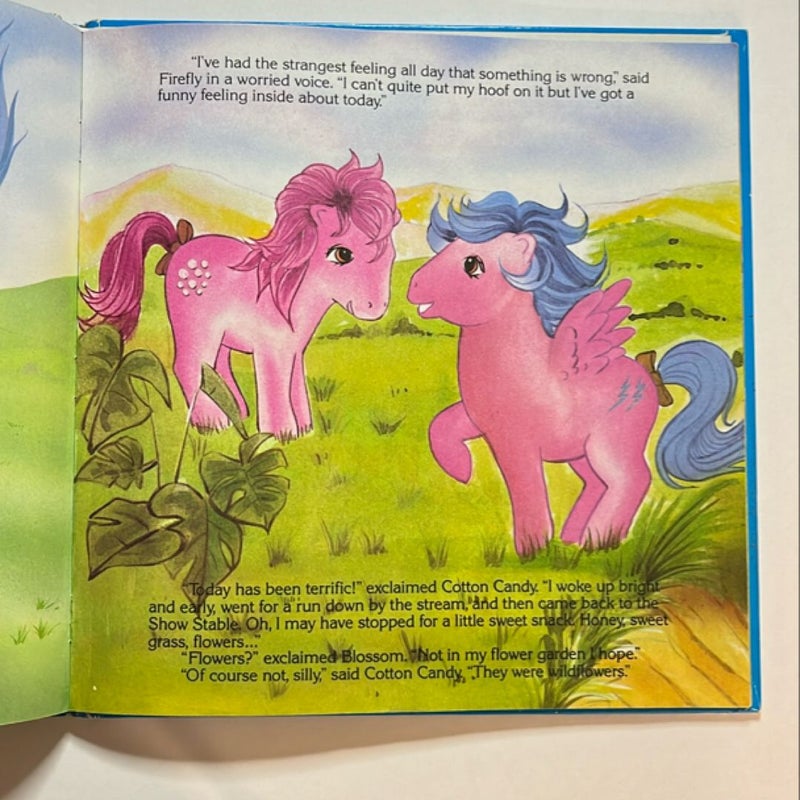 My Little Pony Adventure Book