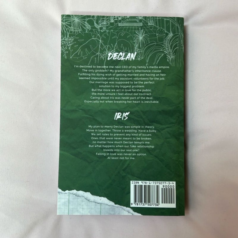 Terms and Conditions OOP Indie (Dreamland Billionaires Book 2)