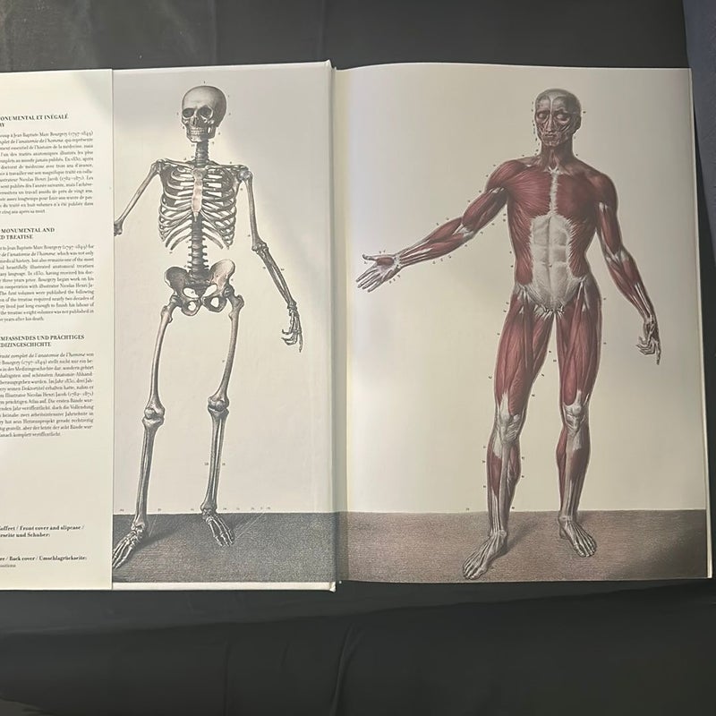 Atlas of Human Anatomy and Surgery Volume 1 by J. M.