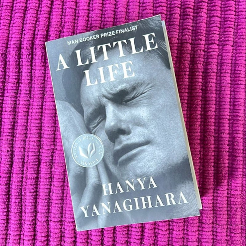 A Little Life