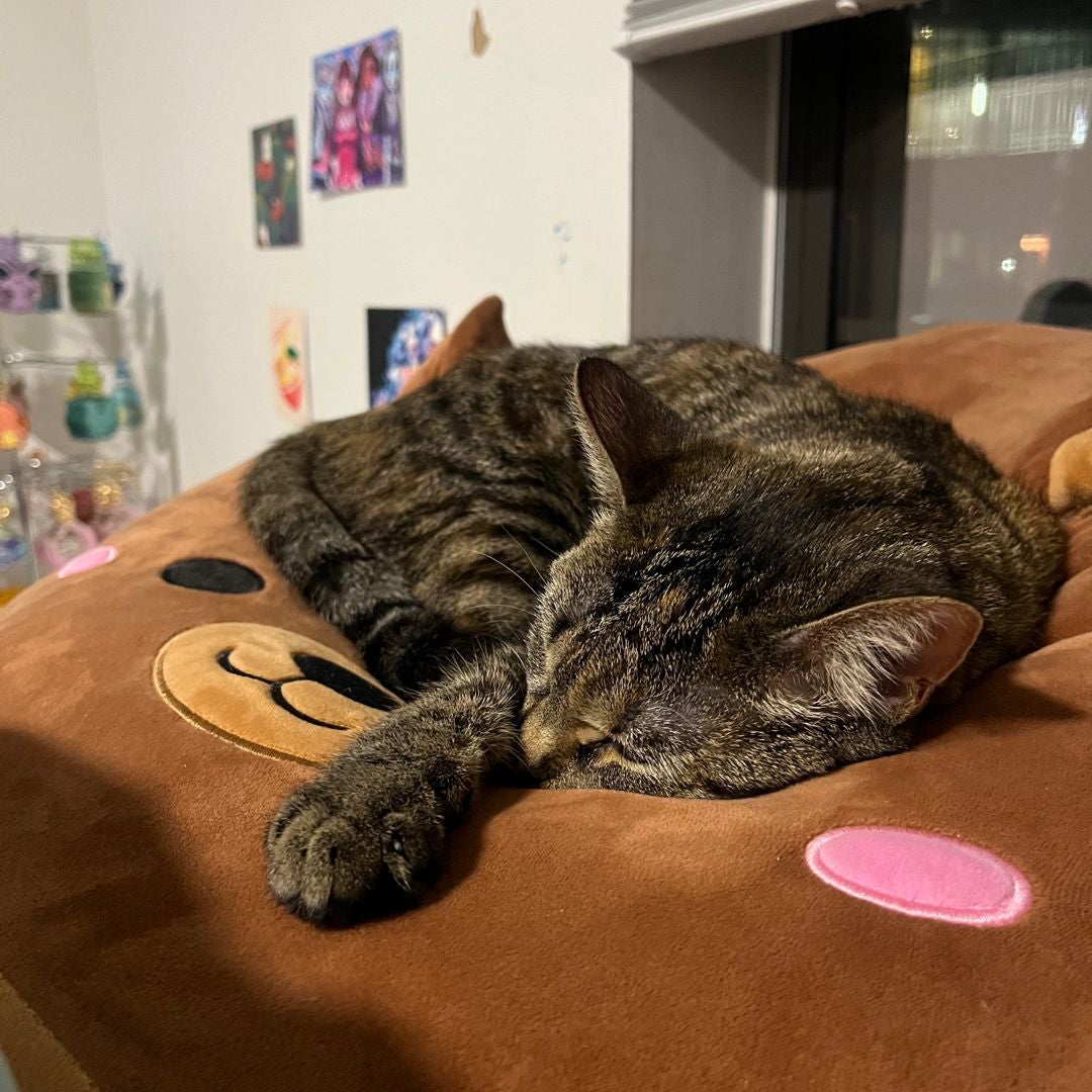 CutieMixx