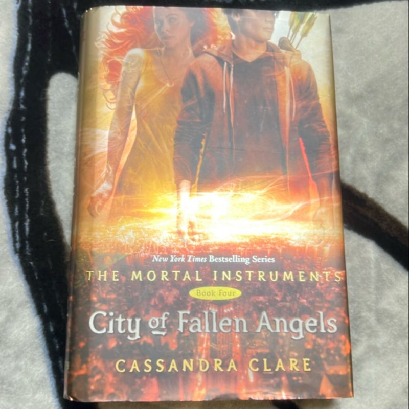 City of Fallen Angels