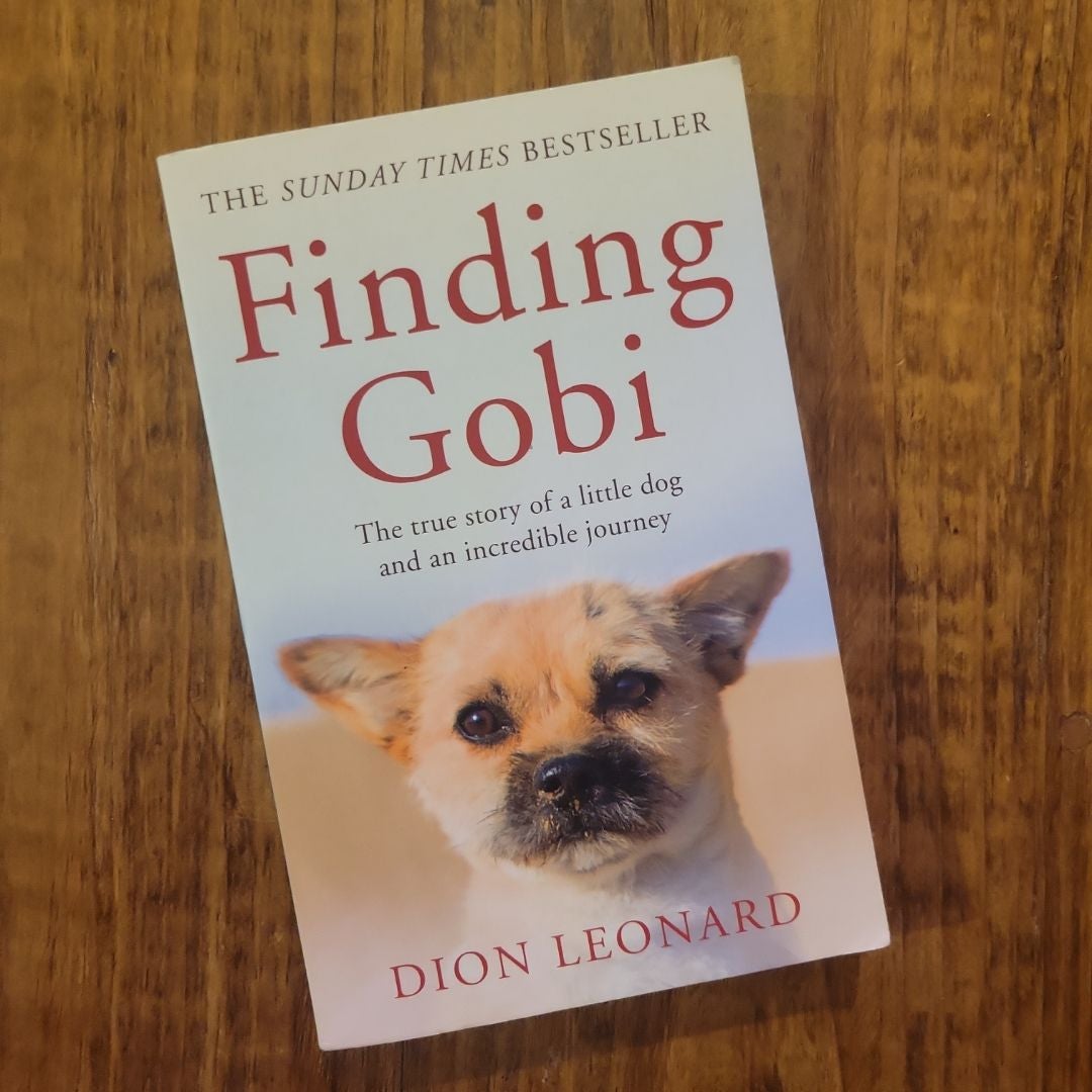 Finding Gobi (Main Edition)