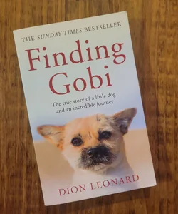 Finding Gobi (Main Edition)