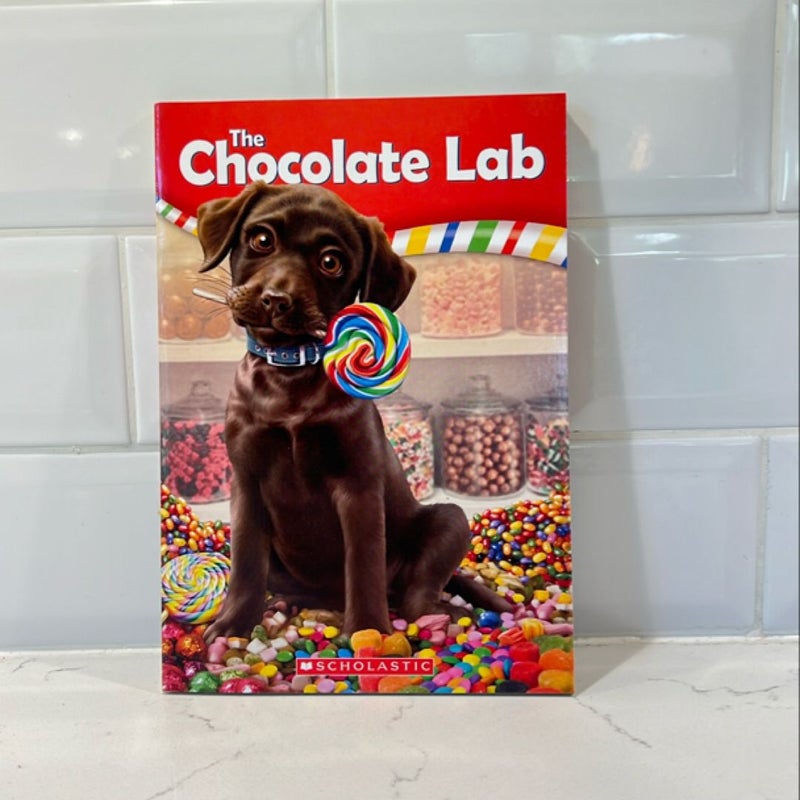 The Chocolate Lab