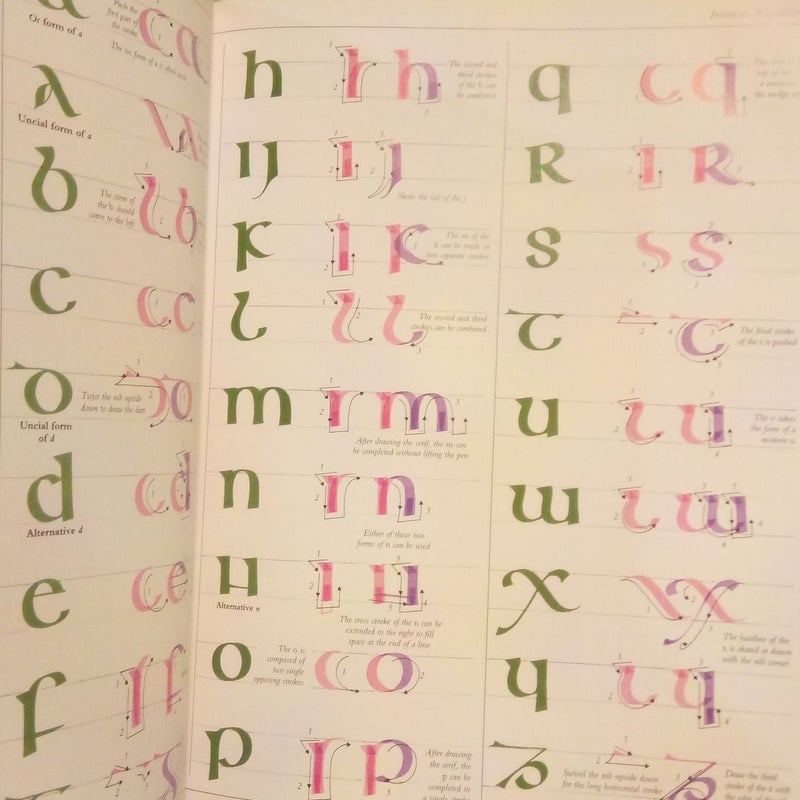 The Art of Calligraphy 