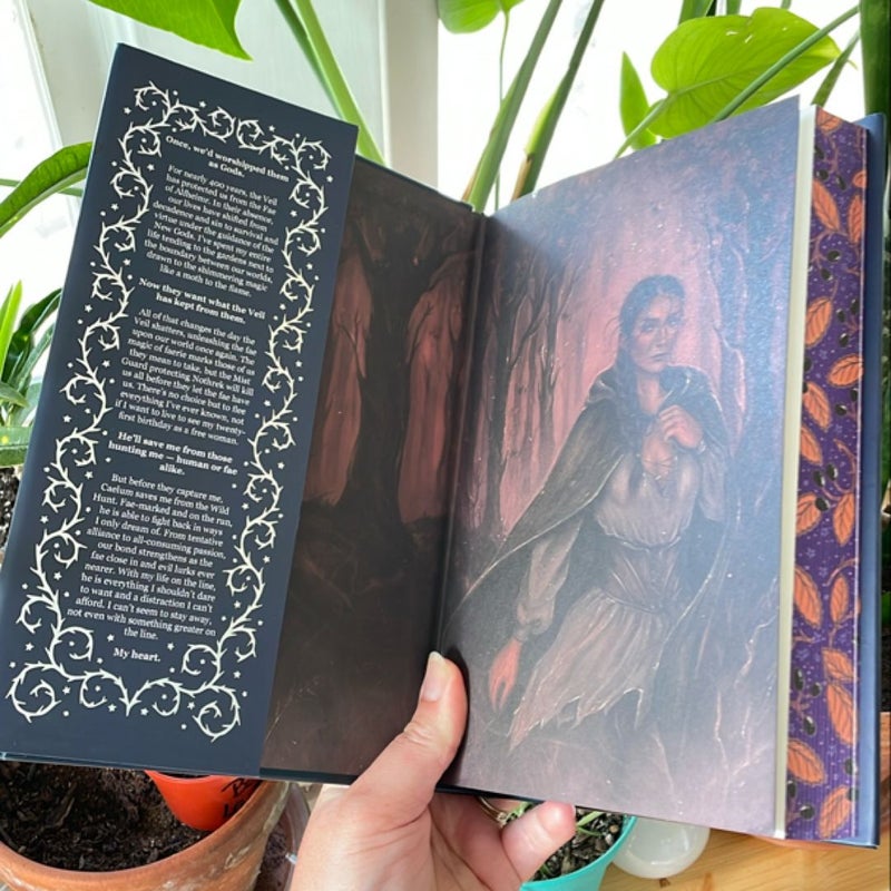 What Lies Beyond The Veil (Bookish Box Edition)