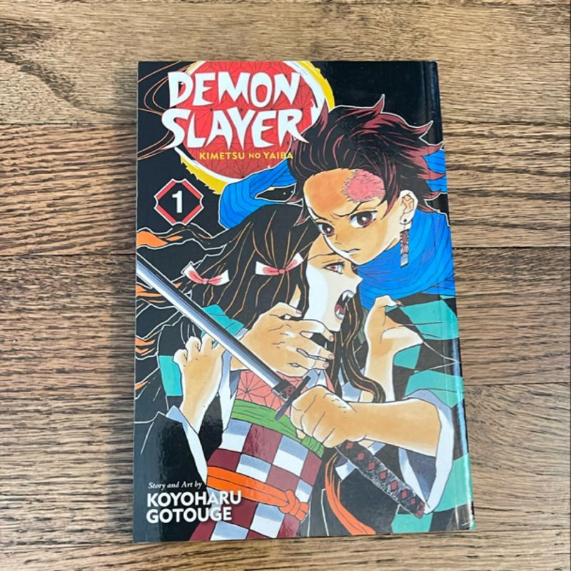 Demon Slayer: Kimetsu No Yaiba, Vol. 1