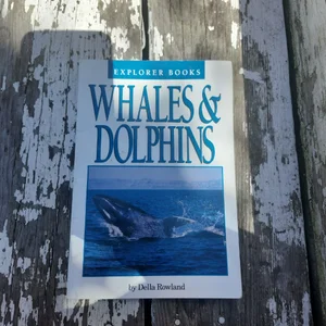 Whales and Dolphins