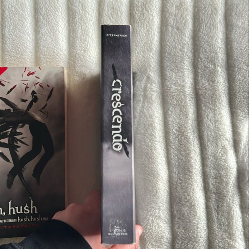 Hush, Hush - Books 1 and 2 Bundle 