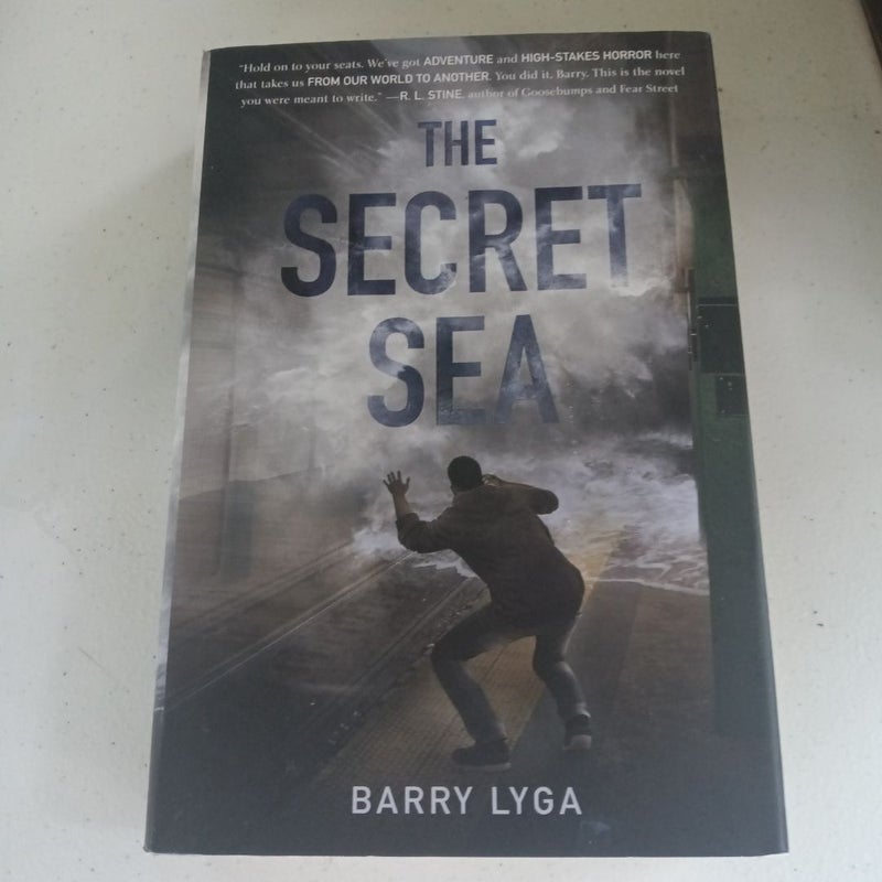 The Secret Sea