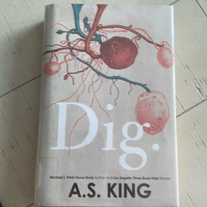 Dig