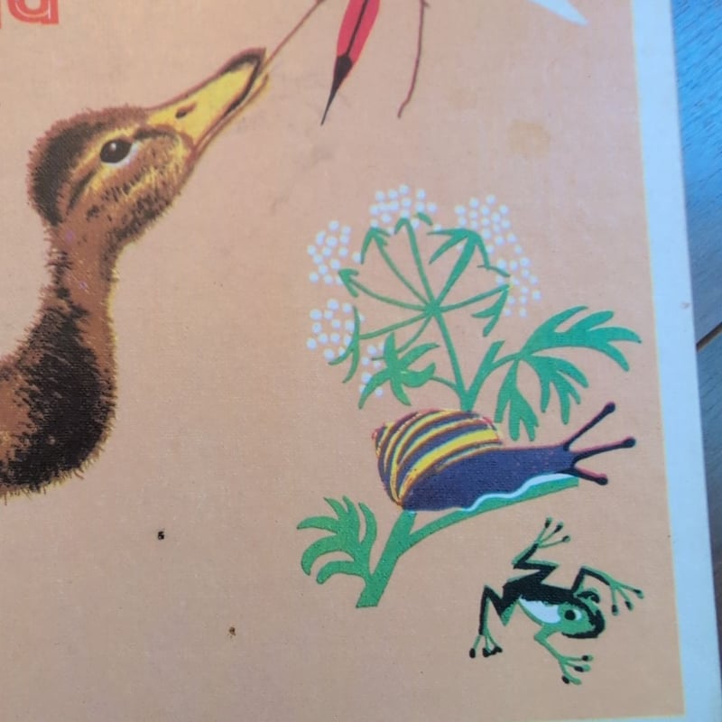 A Pere Castor Book, Ploof The Little Wild Duck