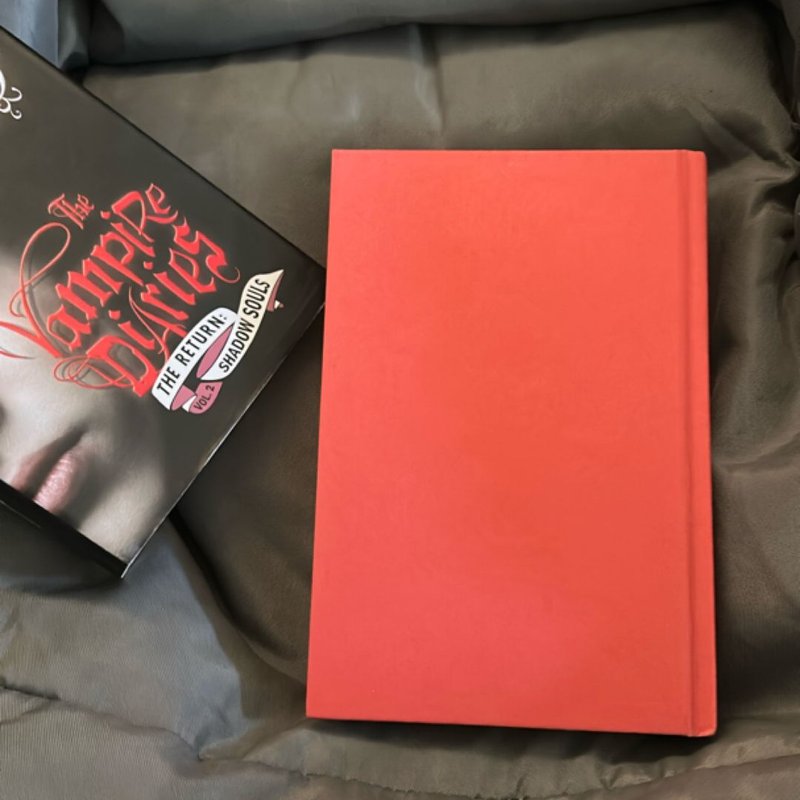 The Vampire Diaries: the Return: Shadow Souls