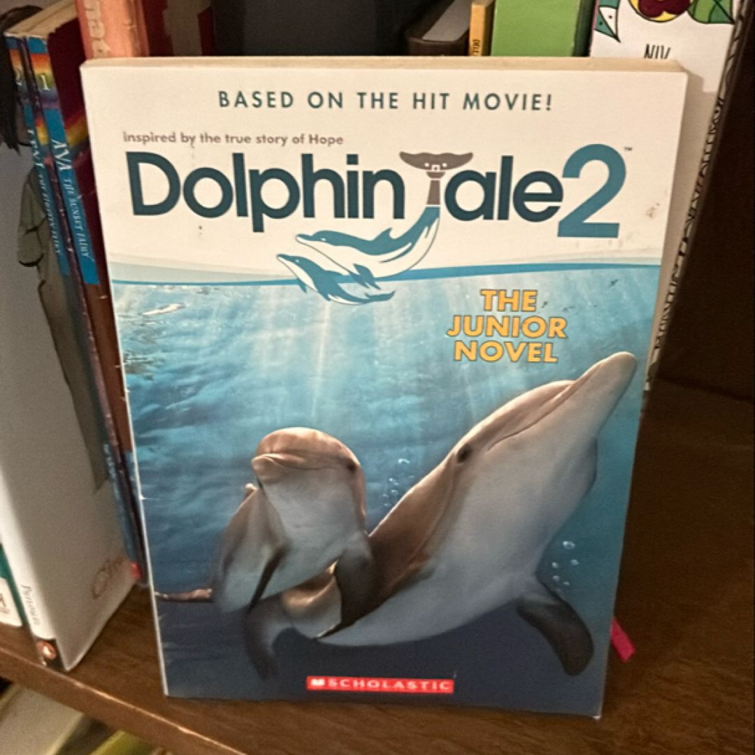 Dolphin Tale 2