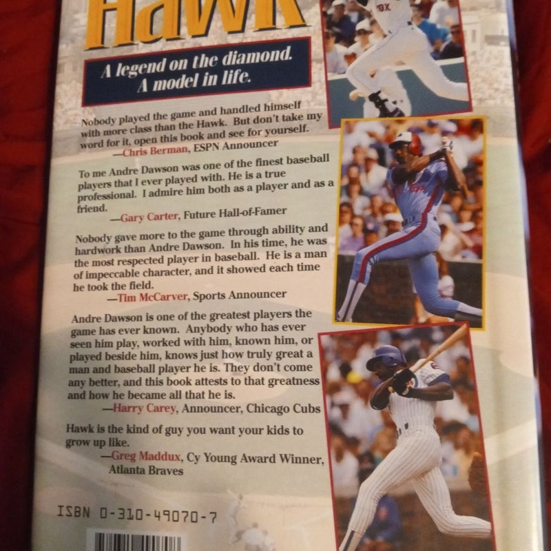 Hawk - The Andre Dawson Story