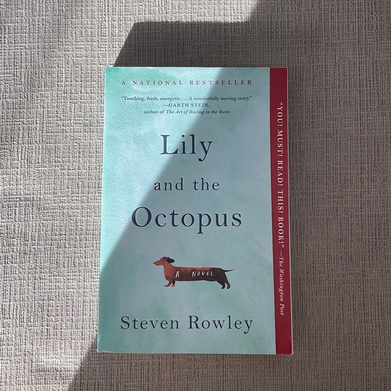 Lily and the Octopus