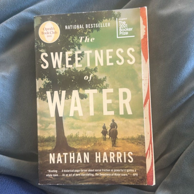 The Sweetness of Water (Oprah's Book Club)