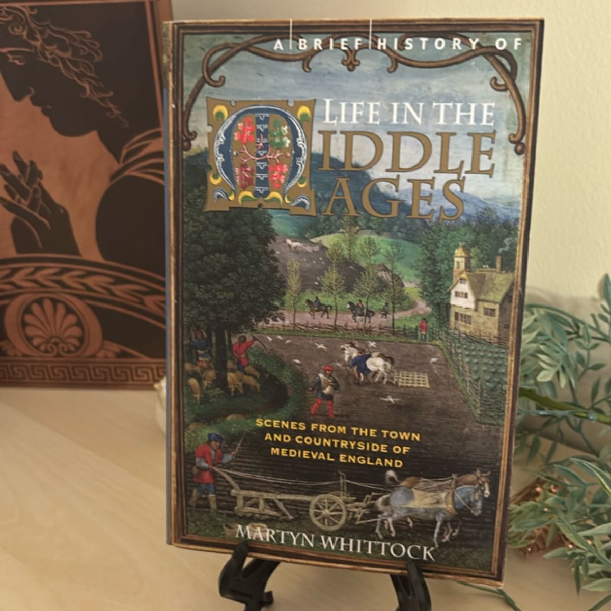 A Brief History of Life in the Middle Ages by Martyn Whittock