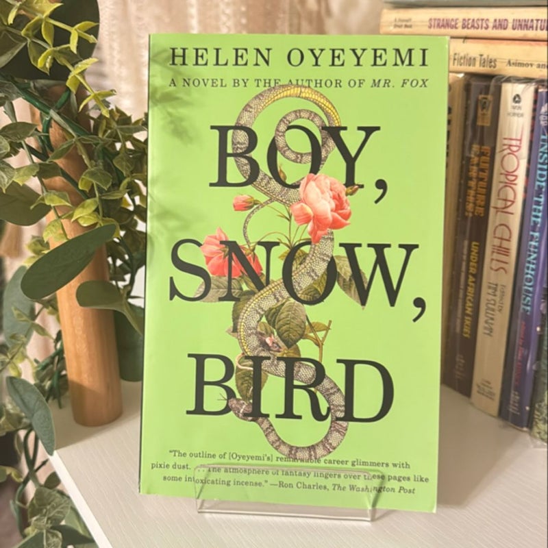 Boy, Snow, Bird