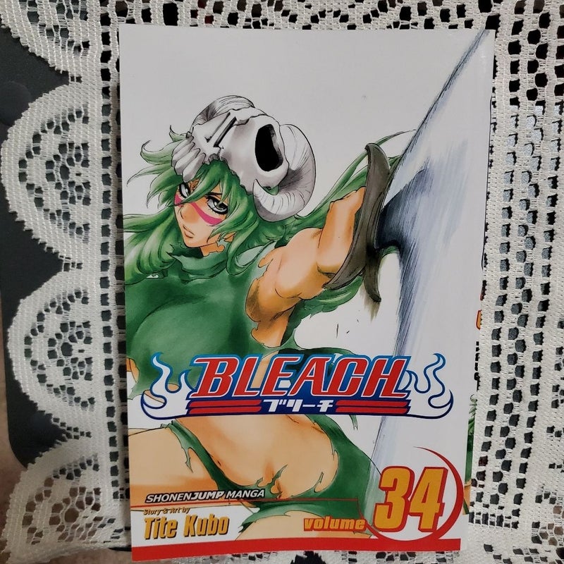 Bleach, Vol. 34