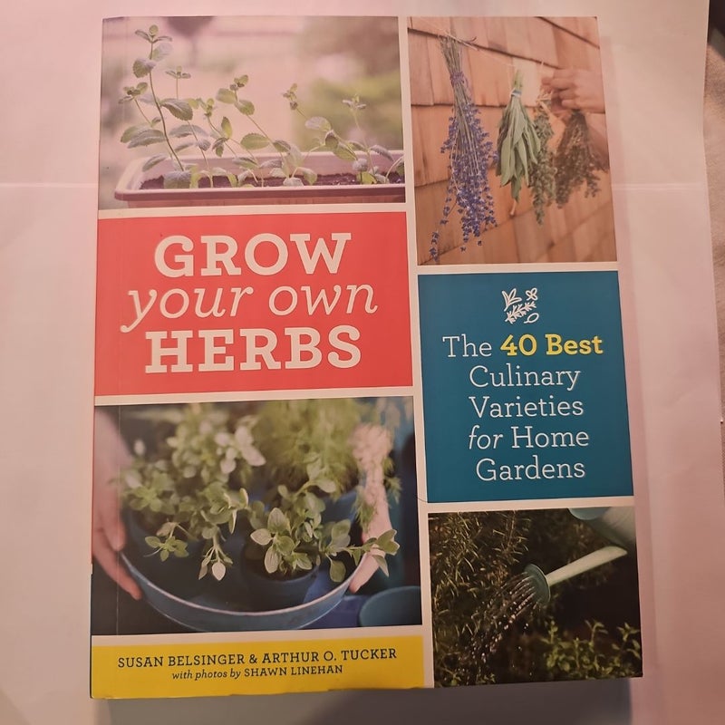 Grow Your Own Herbs