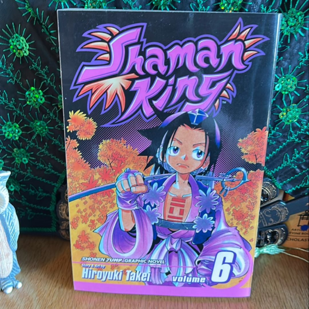 Shaman King, Vol. 6