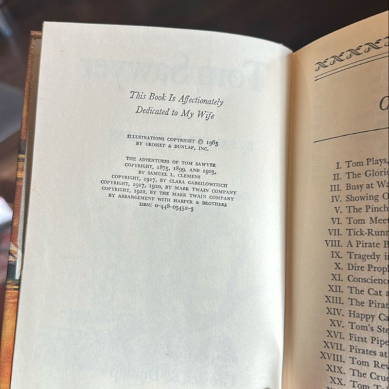 The adventures of Tom Sawyer