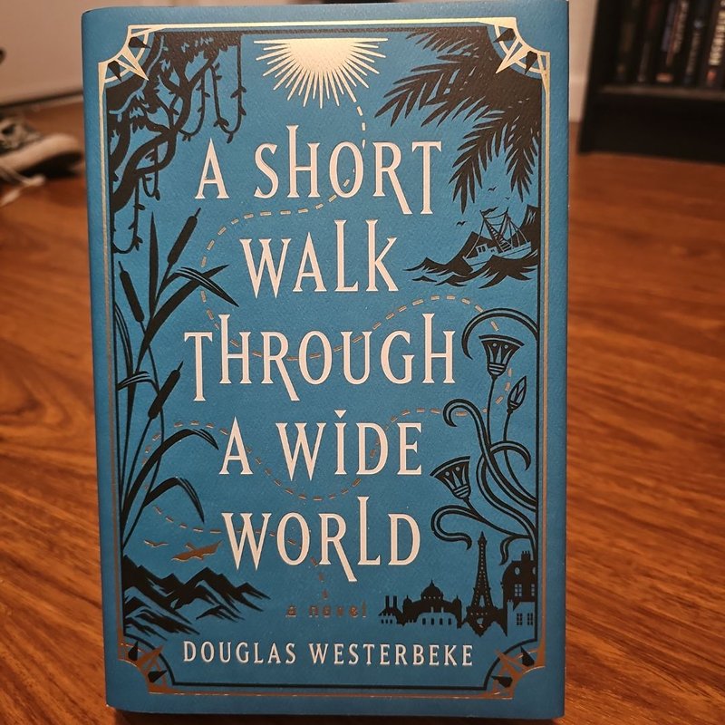 A Short Walk Through a Wide World