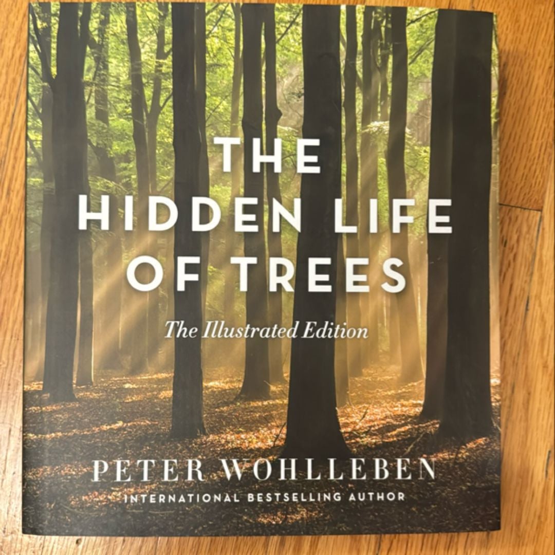 The Hidden Life of Trees