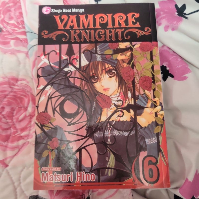 Vampire Knight, Vol. 6