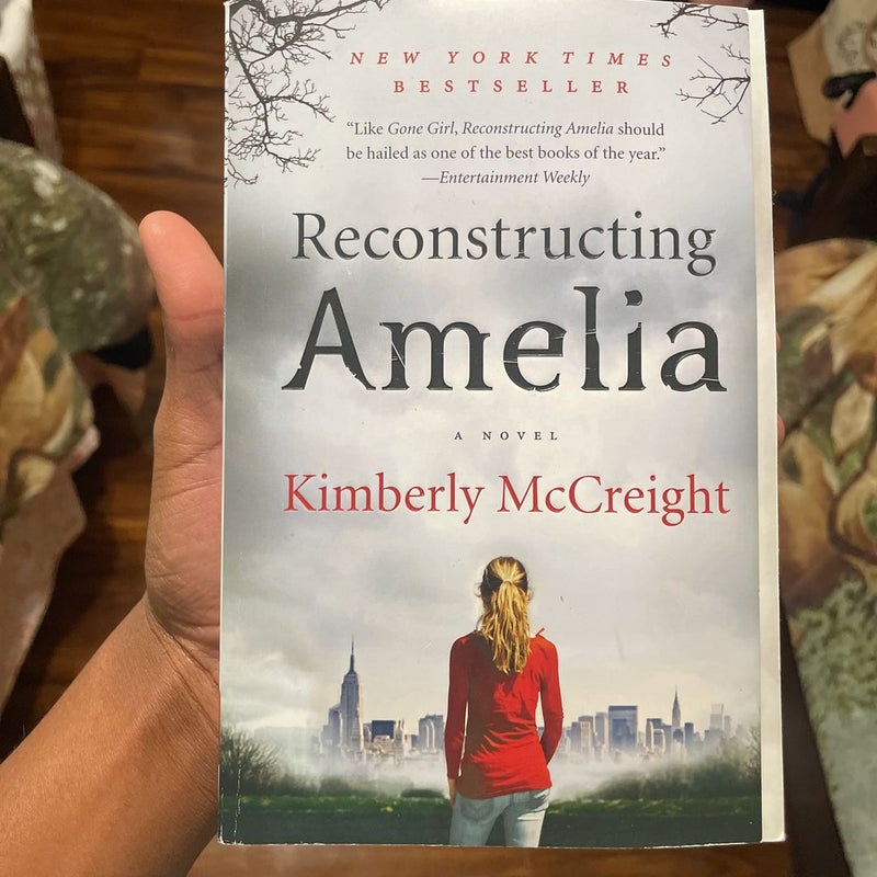 Reconstructing Amelia