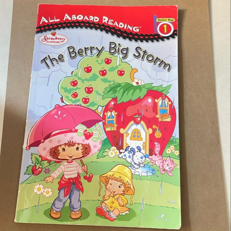 Strawberry Shortcake The Berry Big Storm