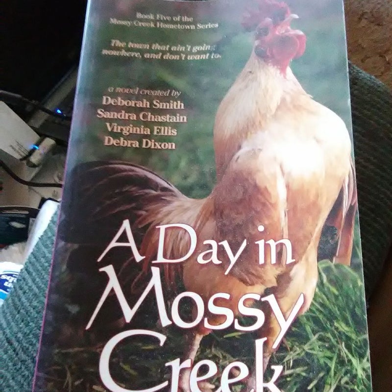 A Day in Mossy Creek