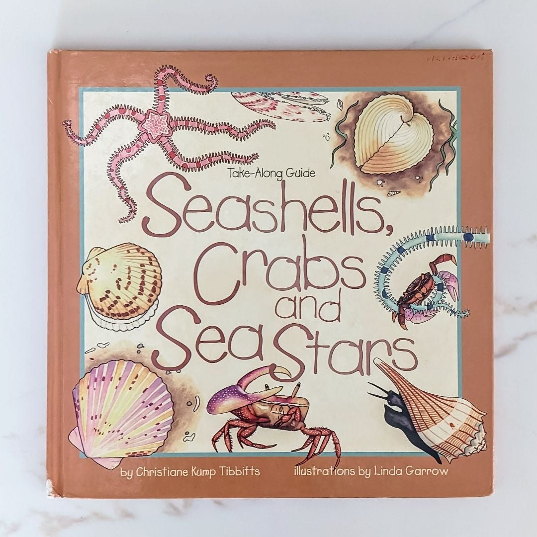 Seashells, Crabs and Sea Stars