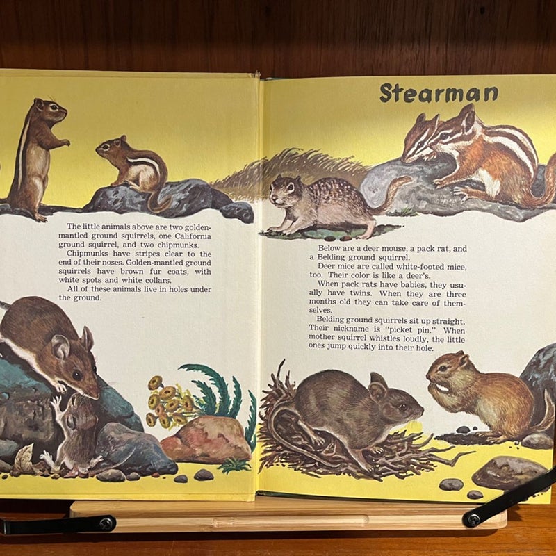 Vintage Children's Books -- Three Joe Maniscalco Books 1960s