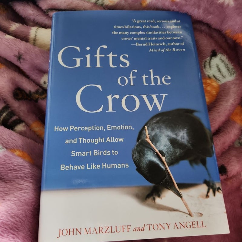 The Gift of the Crow